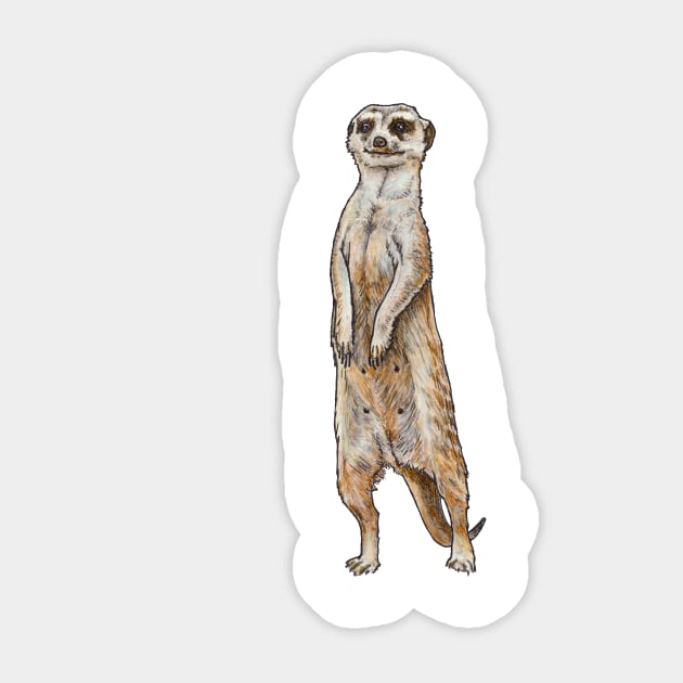 LADY OF THE MEERKAT MANOR Sticker by PaddlesworthDraws